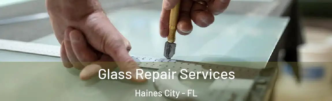 Glass Repair Services Haines City - FL